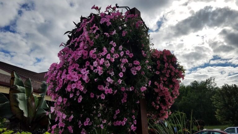 Jesus's Name Examined In The Book Of Mormon