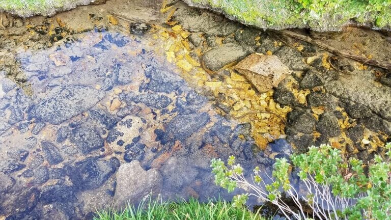 Endure To The End And Do Not Be Deceived