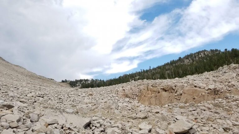 Leave Everything For Jesus