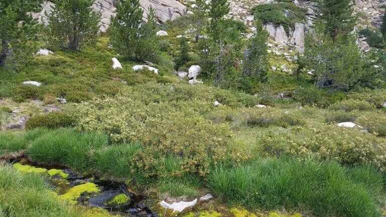 Believe In Jesus Of The Bible