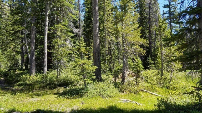 When People Don't Want To Hear They Have Sinned