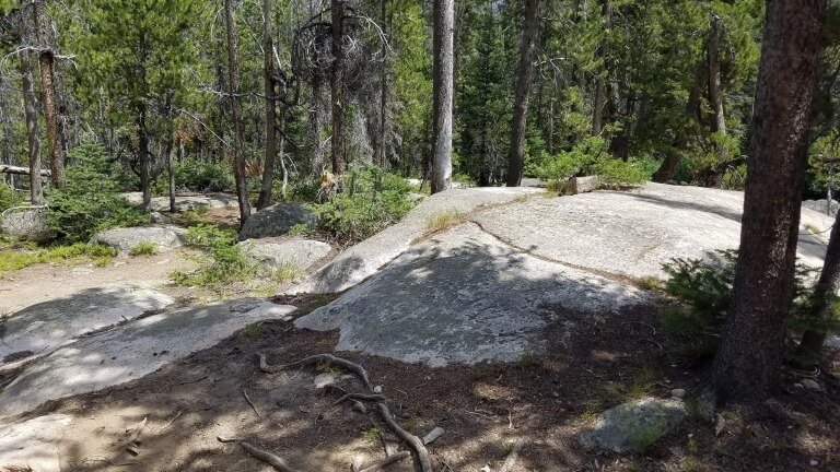 Follow Jesus And Not Prophets