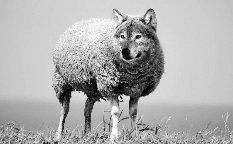 Corrupt Doctrines Lacking Two Or Three Witness