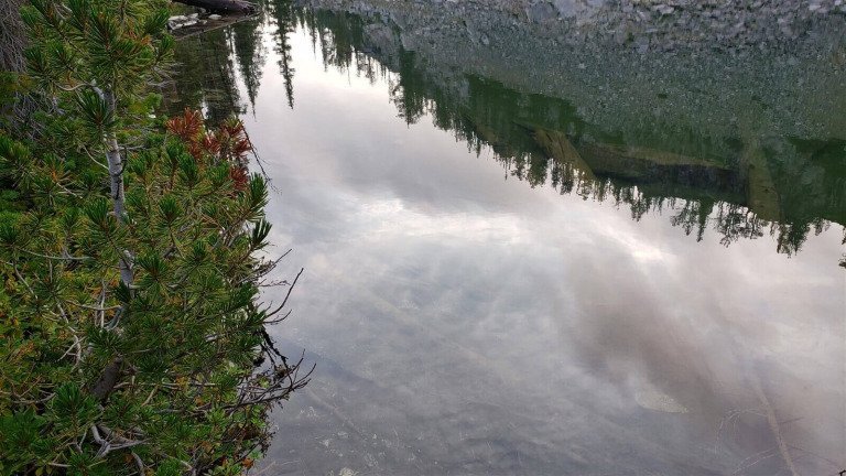 No Real Restoration Found In The Mormon Church