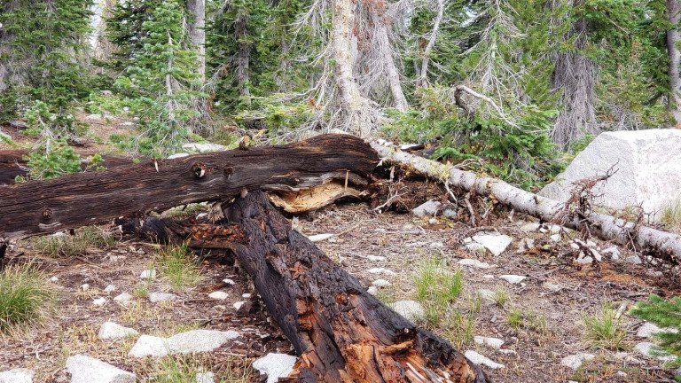 False Prophets Are Led By A Different Spirit