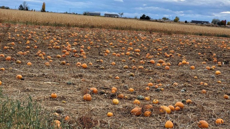 Mormonism And Halloween