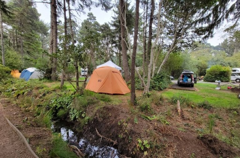 Loving Everyone, Even False Witnesses